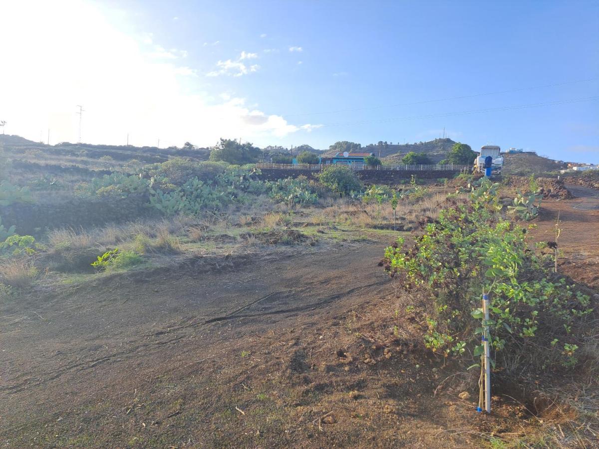 Las Casitas De Pao El Pinar  Bagian luar foto