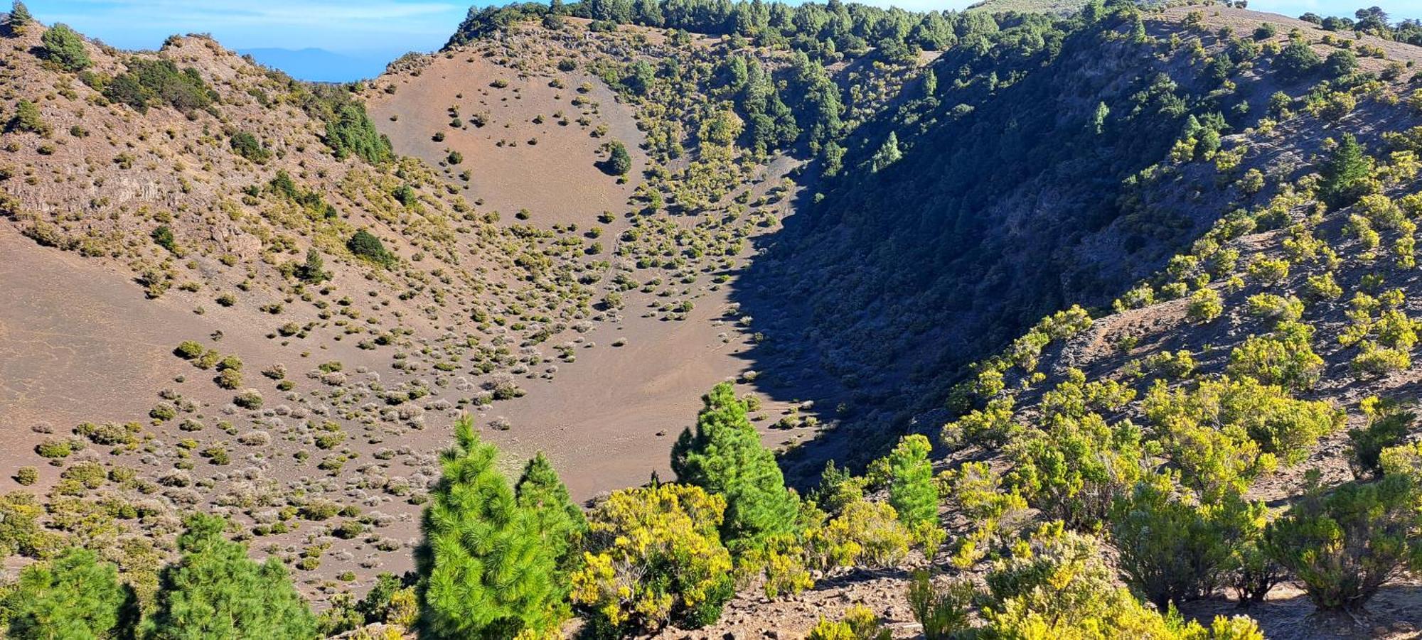 Las Casitas De Pao El Pinar  Bagian luar foto