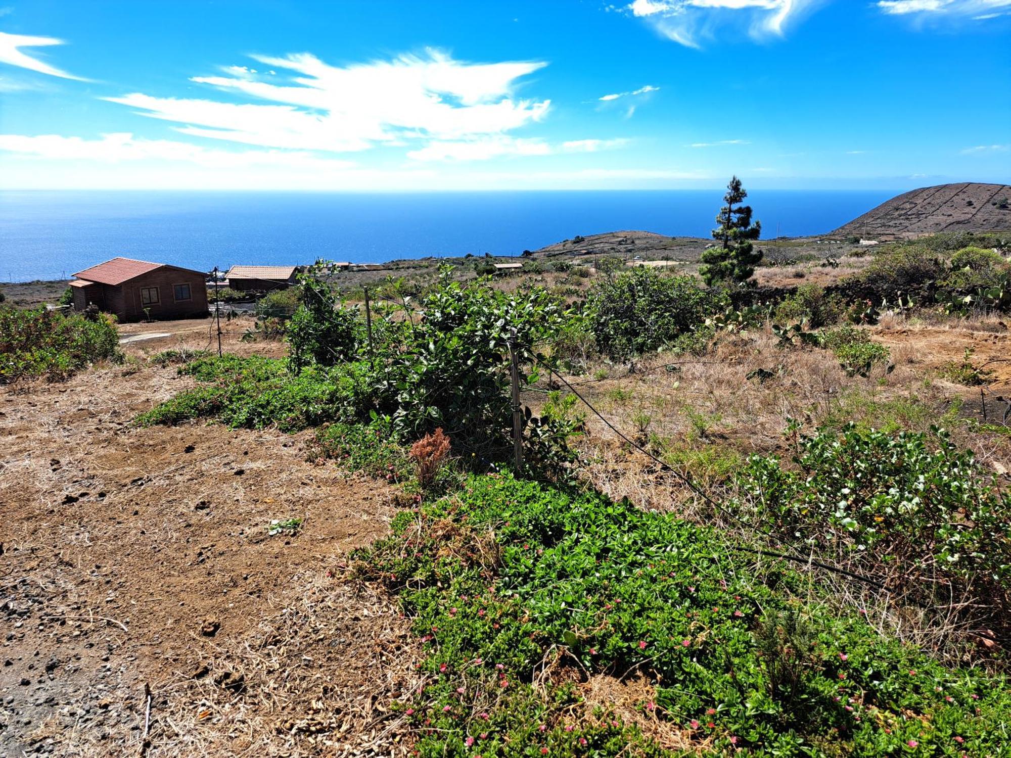 Las Casitas De Pao El Pinar  Ruang foto