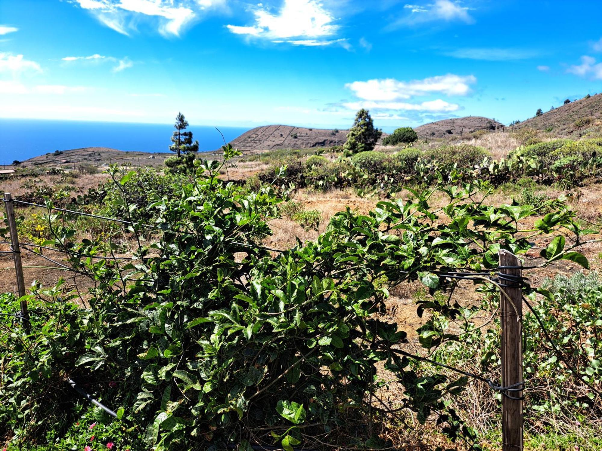 Las Casitas De Pao El Pinar  Ruang foto